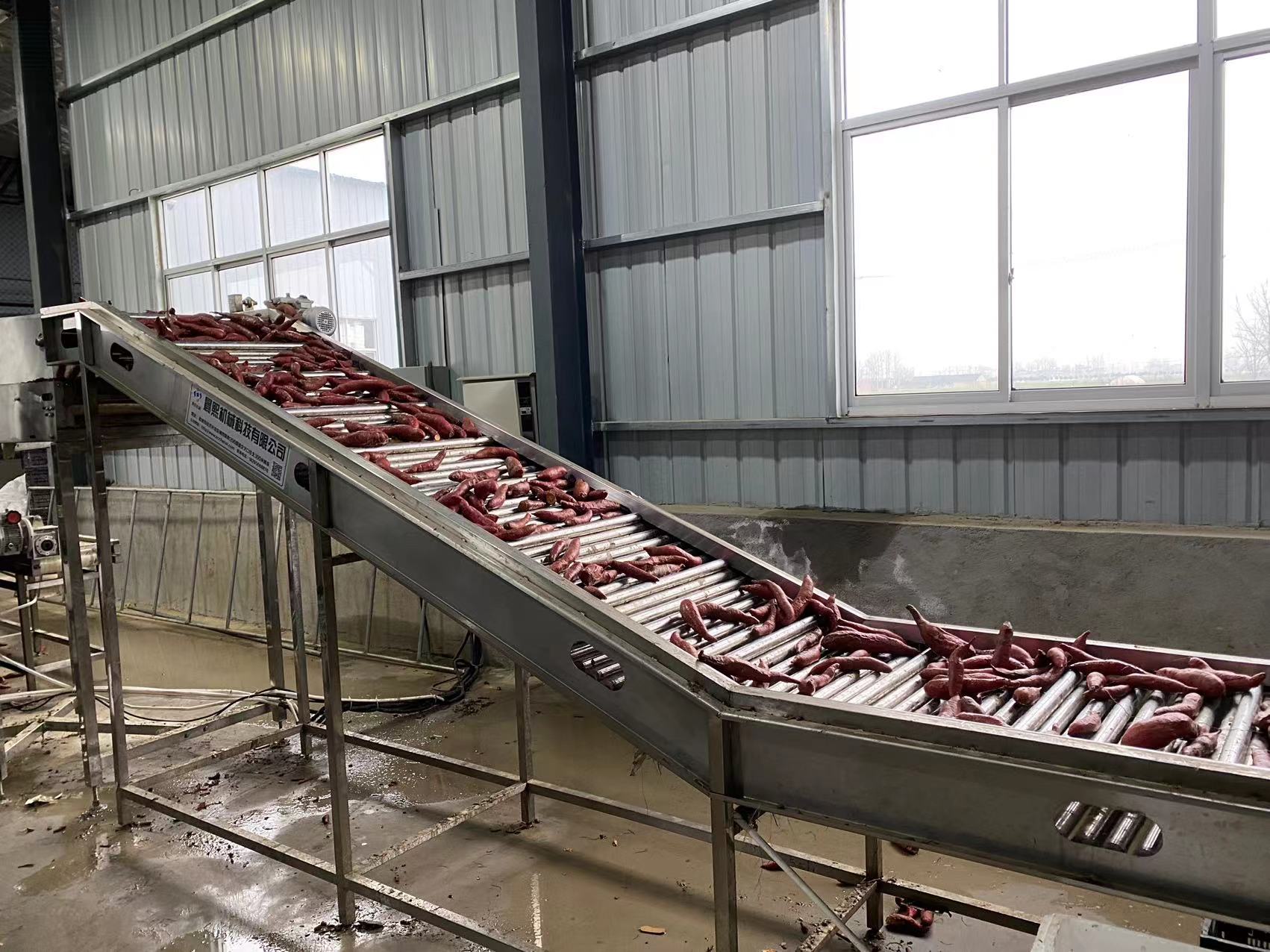 紅薯清洗愈合糖化設備提升段