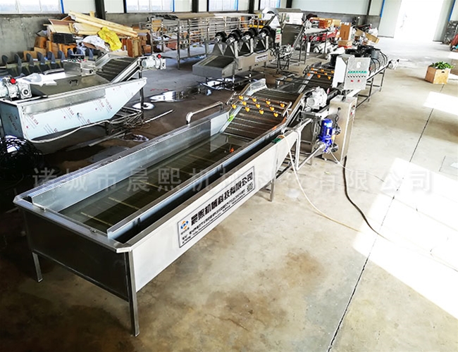 百香果清洗機(jī)