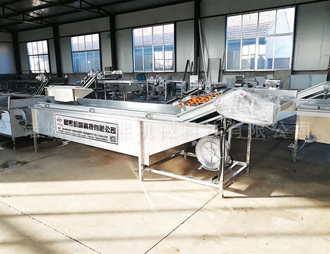 大姜去皮清洗機(jī)工作原理