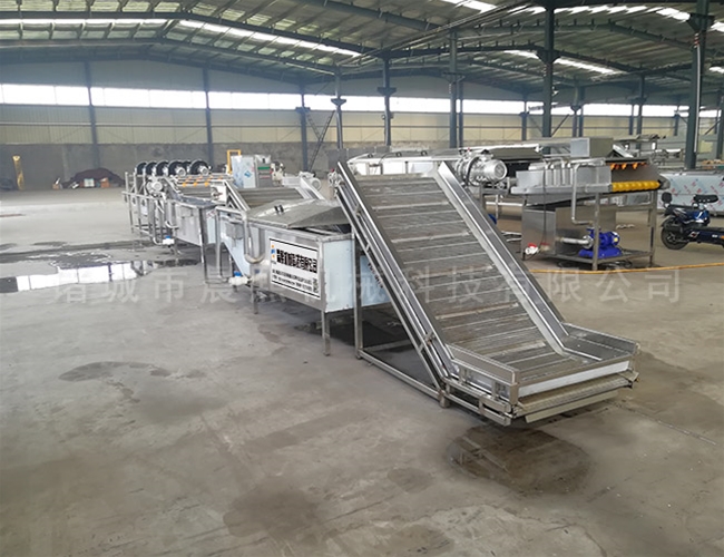 太子參清洗機 根莖類藥材毛輥清洗設(shè)備