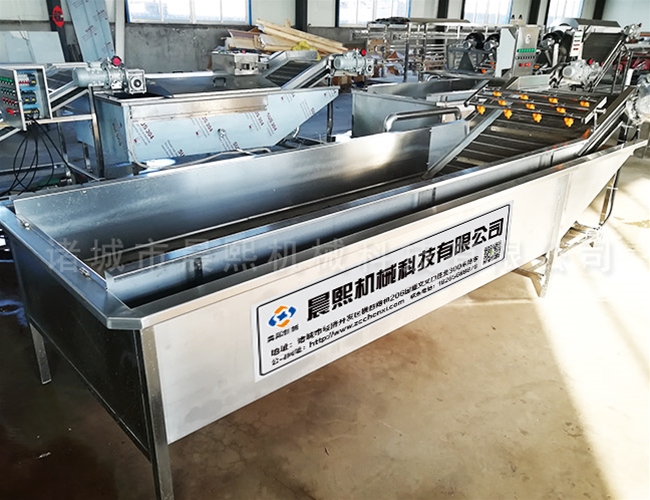 連續(xù)式沙棘果清洗機(jī)