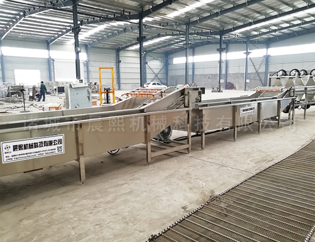 全自動紫蘇葉清洗機(jī)型號