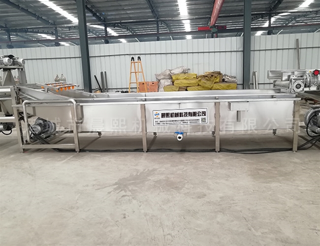 自動化四季蔥清洗機流水線