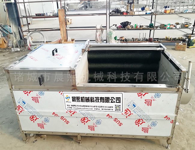 連續式蓮藕清洗機廠家